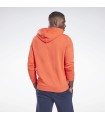 Identify Big Logo Hoodie