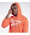 Identify Big Logo Hoodie